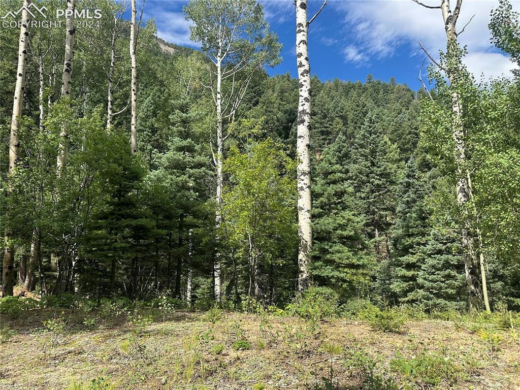 272 Fern Valley Road, Manitou Springs, CO 80829 — photo 4