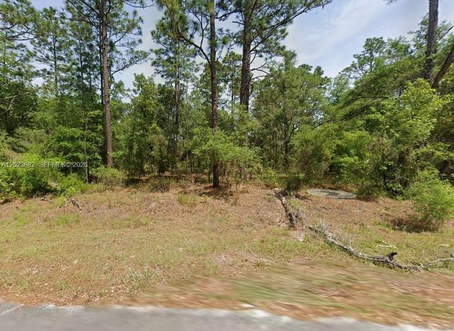 Lot 47 Lot 47 Shamrock Avenue, Dunnellon, FL 34431