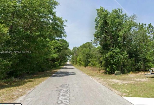 Lot 47 Lot 47 Shamrock Avenue, Dunnellon, FL 34431