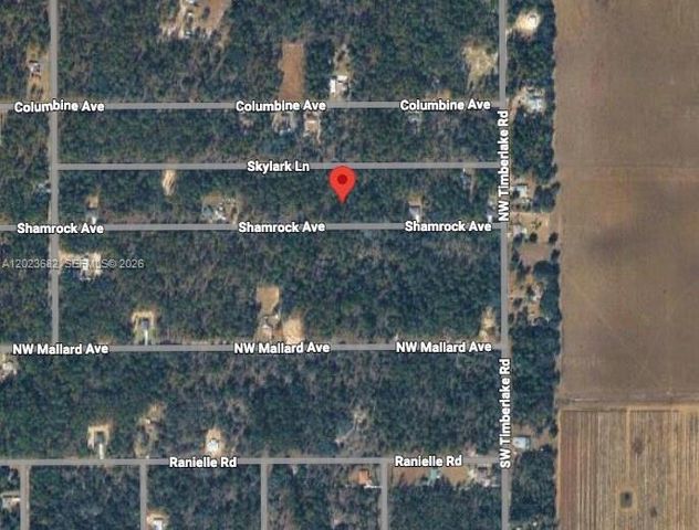 Lot 47 Lot 47 Shamrock Avenue, Dunnellon, FL 34431