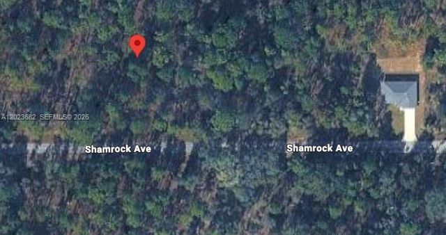 Lot 47 Lot 47 Shamrock Avenue, Dunnellon, FL 34431
