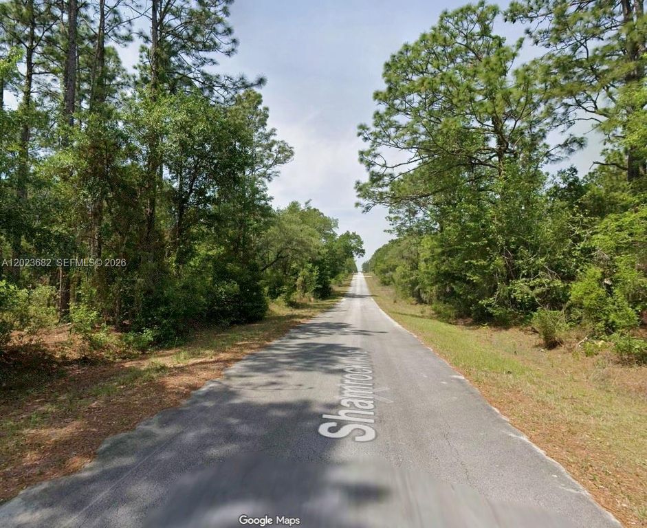 Lot 47 Lot 47 Shamrock Avenue, Dunnellon, FL 34431