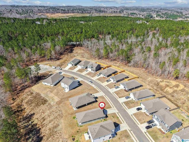 745 STERLING PLACE, Odenville, AL 35120