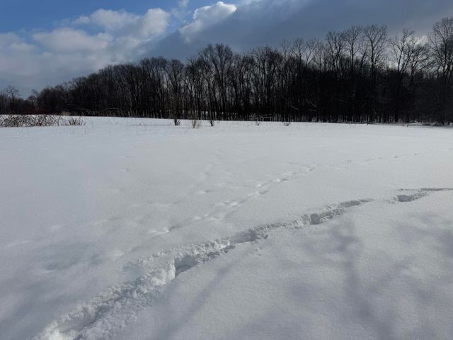 10713 S 34th Street, Pavilion Twp, MI 49097