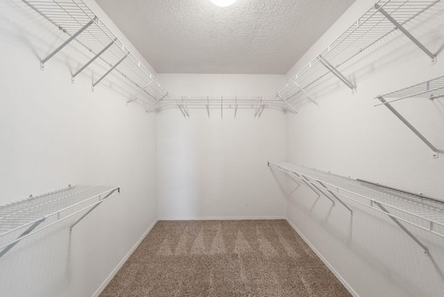 10904 Snowbird Drive NW, Albuquerque, NM 87114