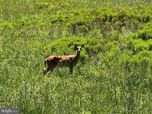 LOT 15 CESSNA LANE, Davis, WV 26260