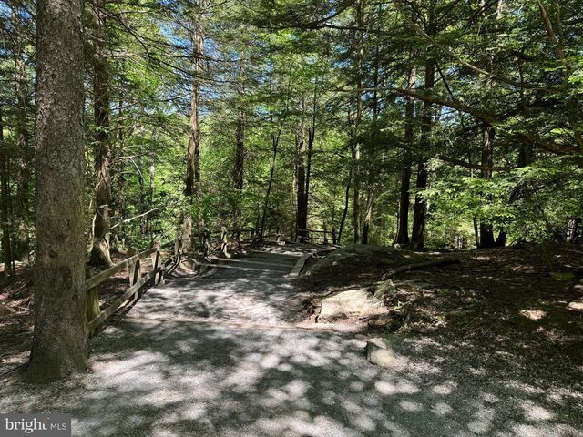 LOT 15 CESSNA LANE, Davis, WV 26260