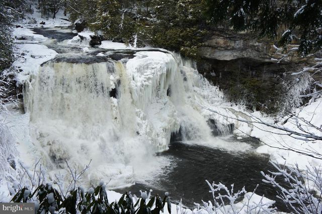 LOT 15 CESSNA LANE, Davis, WV 26260