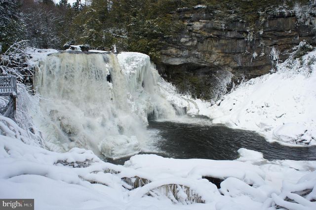 LOT 15 CESSNA LANE, Davis, WV 26260