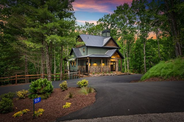 919 Price Road, Blue Ridge, GA 30513
