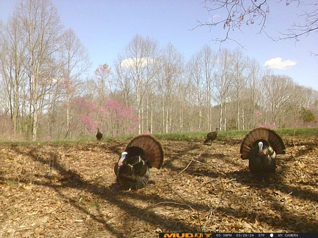 8450 KY-196 Road, Nancy, KY 42544