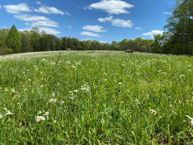 8450 KY-196 Road, Nancy, KY 42544