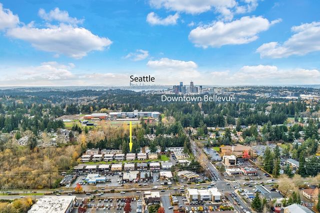 101 147th Ave SE, Bellevue, WA 98007