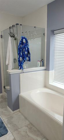 11011 Stoneridge Canyon Court, Houston, TX 77089