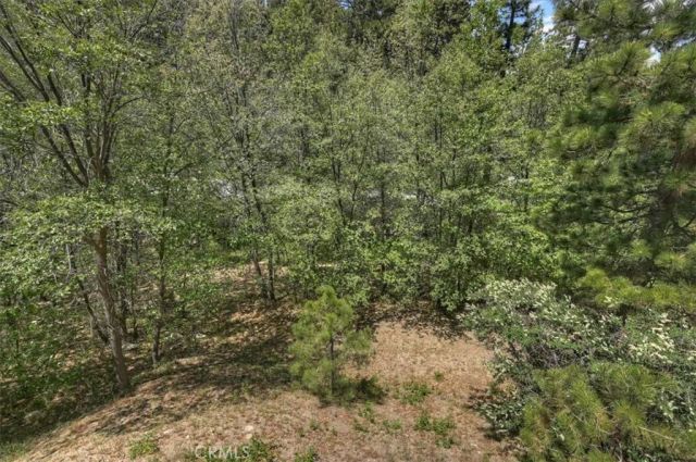1023 Pintail Circle, Lake Arrowhead, CA 92352