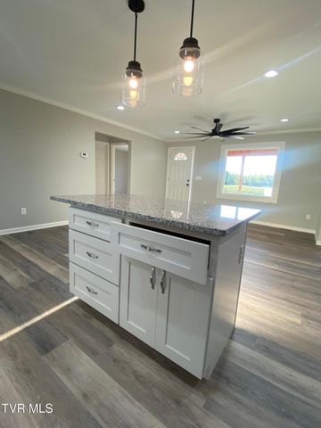 625 Seaton Road, Afton, TN 37616
