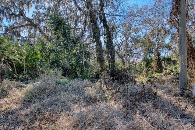 3RD ST, Montverde, FL 34756