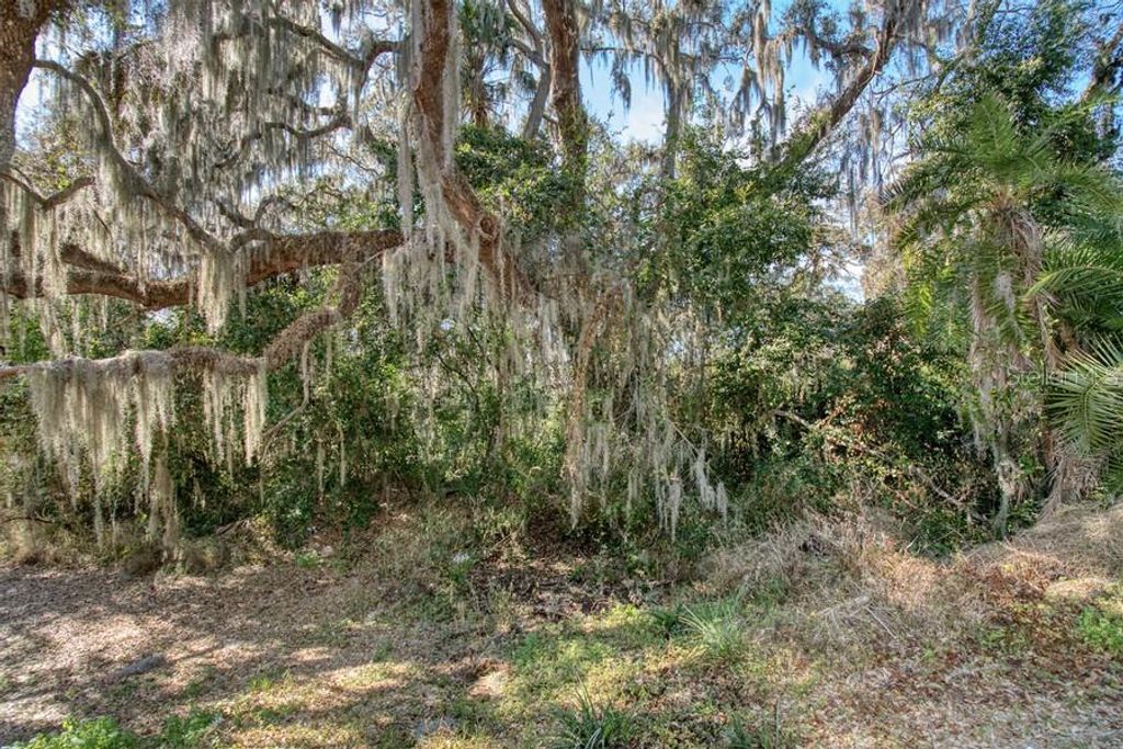 3RD ST, Montverde, FL 34756