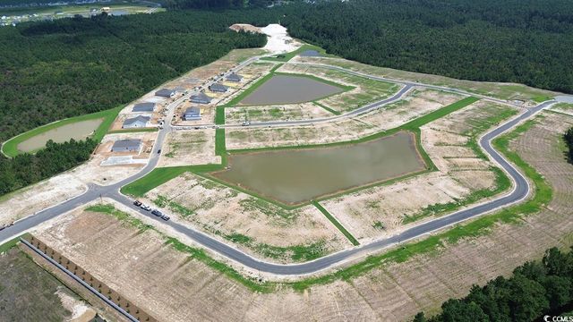 247 Hadley Springs Ave, Longs, SC 29568