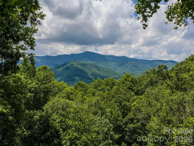 233 Rocky Face Drive, Canton, NC 28716