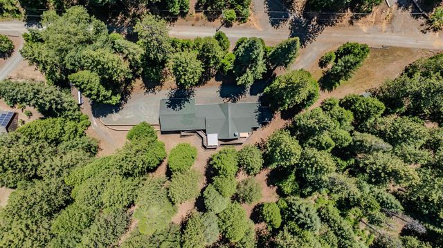 27985 Starlight Dr, Pioneer, CA 95666