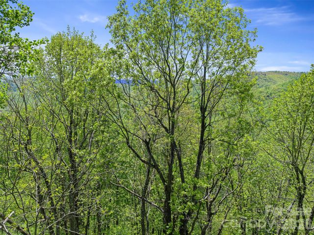 TBD Holly Dale Drive, Spruce Pine, NC 28777