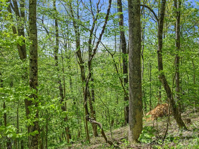 TBD Holly Dale Drive, Spruce Pine, NC 28777