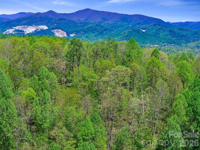 TBD Holly Dale Drive, Spruce Pine, NC 28777