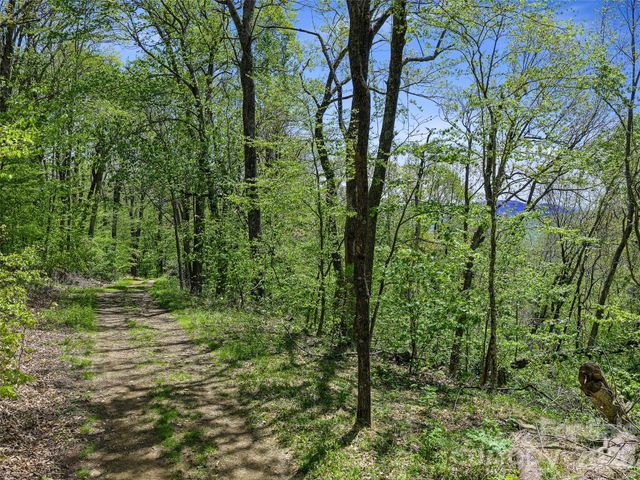 TBD Holly Dale Drive, Spruce Pine, NC 28777