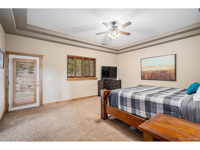 423 Prunes Pl, Fairplay, CO 80440