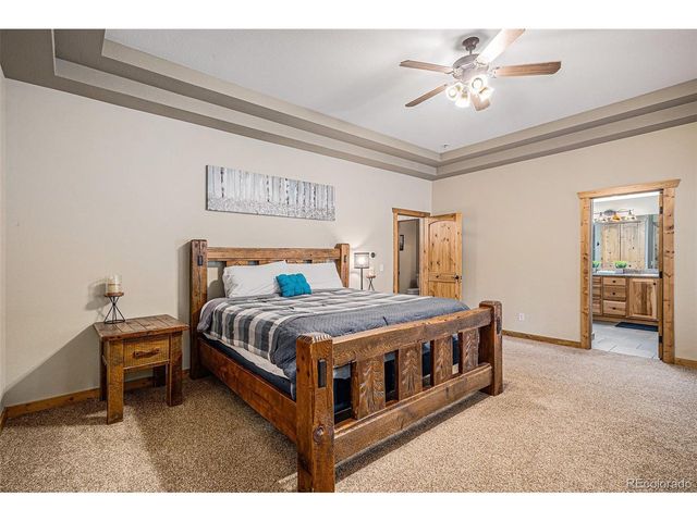 423 Prunes Pl, Fairplay, CO 80440