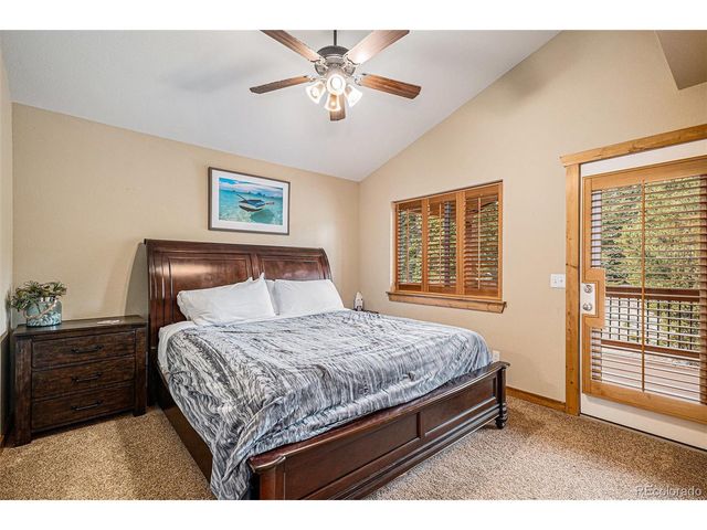 423 Prunes Pl, Fairplay, CO 80440