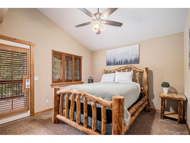 423 Prunes Pl, Fairplay, CO 80440