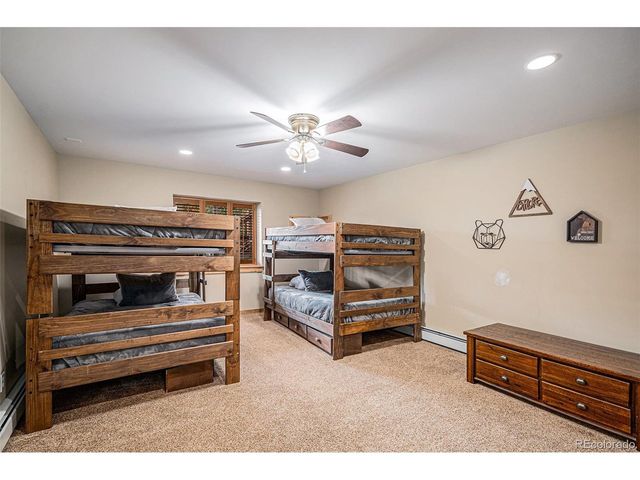 423 Prunes Pl, Fairplay, CO 80440