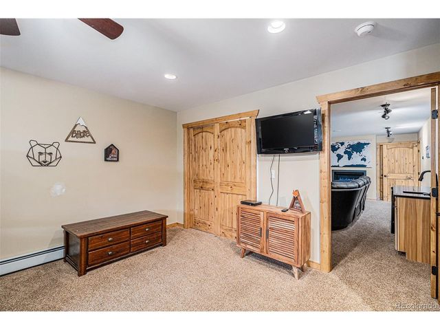 423 Prunes Pl, Fairplay, CO 80440