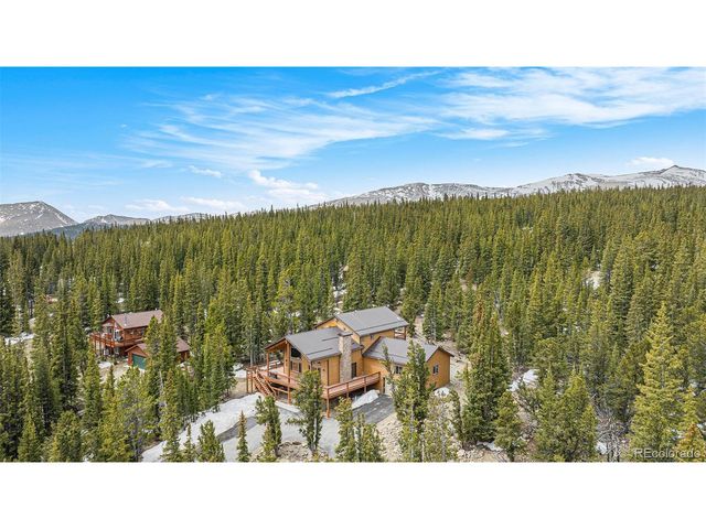 423 Prunes Pl, Fairplay, CO 80440