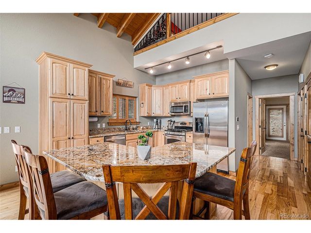 423 Prunes Pl, Fairplay, CO 80440