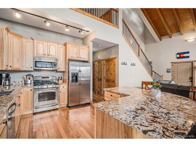 423 Prunes Pl, Fairplay, CO 80440