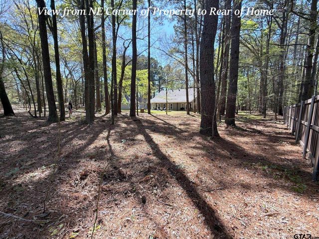 15741 County Road 1100, Tyler, TX 75703