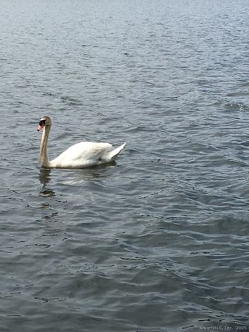 124 East Street, Wolcott, CT 06716