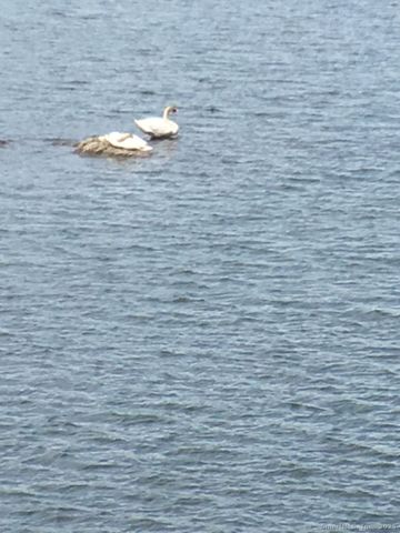 124 East Street, Wolcott, CT 06716