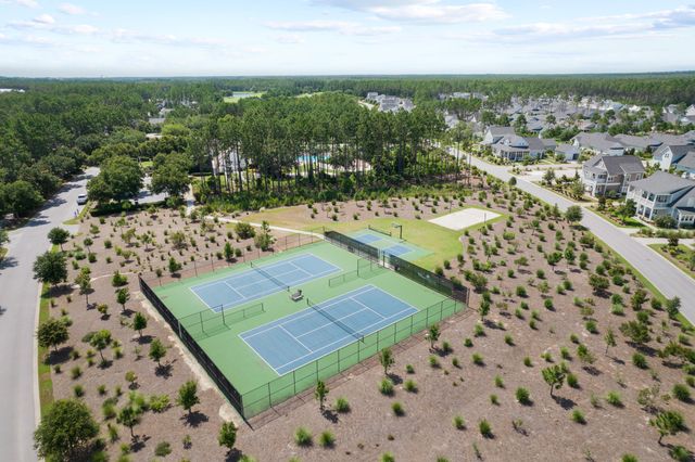 212 Sawbuck Drive, Watersound, FL 32461