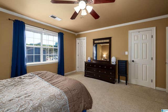 205 WILLOW POINT CIRCLE, Alabaster, AL 35007