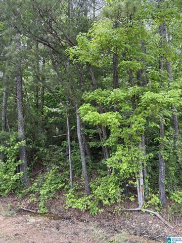 lot 4 LAKESHORE CIRCLE, Warrior, AL 35180