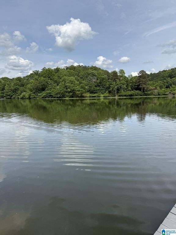 lot 4 LAKESHORE CIRCLE, Warrior, AL 35180