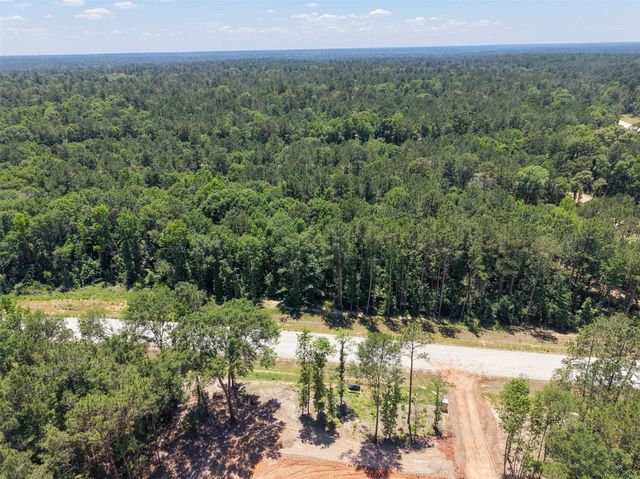 160 Heartland Road, New Waverly, TX 77340
