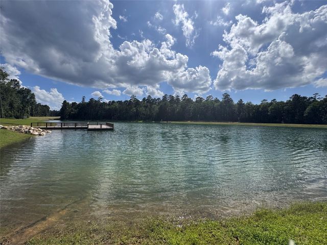160 Heartland Road, New Waverly, TX 77340