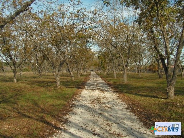 653 Scarborough, Canyon Lake, TX 78133