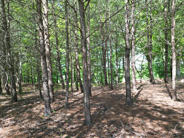 00 IVY LN, Union Hall, VA 24176