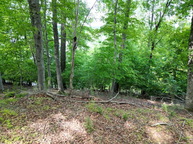 00 IVY LN, Union Hall, VA 24176